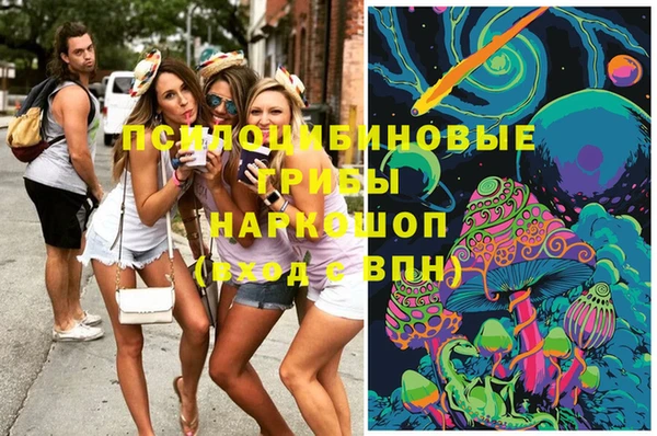 мяу мяу мука Дмитровск