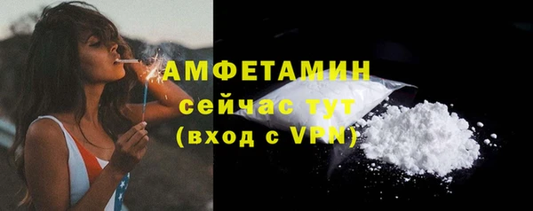 ECSTASY Дмитриев