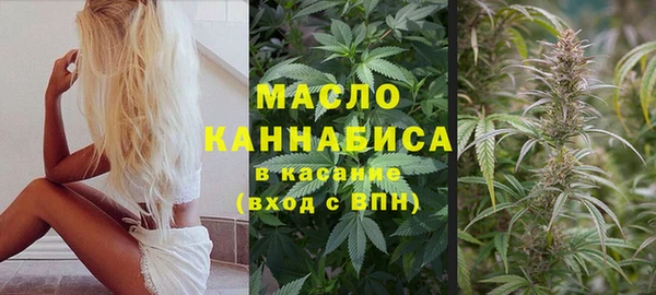 ECSTASY Дмитриев