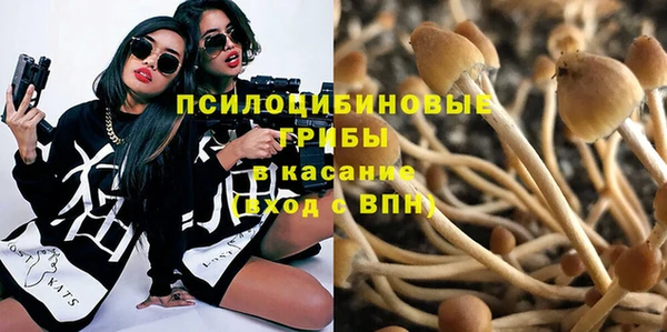мяу мяу мука Дмитровск